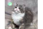 オンライン見学